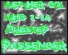 Passenger Let her go DBS