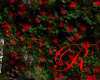 Red Rose Wall Vine