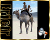 [Efr] Camel Oasis Snds