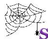 Spider Web Decor