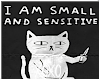 Sensitive Poster