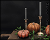 Candles + Pumpkin / Dark