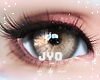 Eye V1
