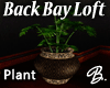 Back Bay Loft Plant 1