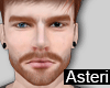 Beard 28 | Ginger Beard 28 | Ginger