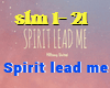 Spirit lead me remix