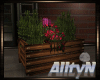 Box with plants