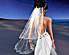 Wedding Veil