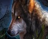 [DES]Midnites Wolf Haven