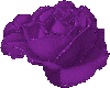 M Purple Sparkle Rose