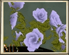ML Mini Roses Lilac