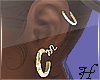 Belle Earrings