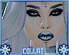 Snowflake | Bundle Full