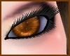 Steampunk Eyes 2 (F)