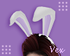 V. Bunny Ears V1