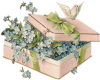 Flowers In A Box