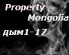 PropertyMongolia(dym)