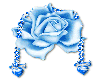 Rose bleu st-valentin n2