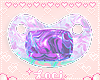 kids holo paci