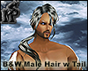 B&W Male Hair w Tail