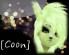 [Coon]Lym Cream Fur