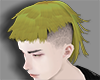 P green