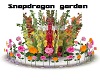  Snapdragon Garden 1
