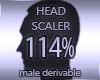 Head Scaler 114%