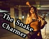 The Snake Charmer (DUB)