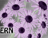 Daisy Bouquet