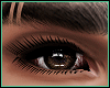 Realistic Brown Eyes