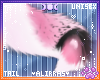 🌸; Cupid Tail