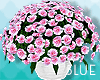 !BS Pink Wedding Flower