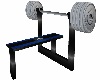 Blue WeightLifting Bench
