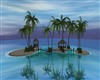 Daytime Tropics