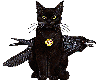 [IE] Witch Cat