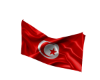 Tunisia FlaG
