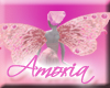 :S: Amoria Wings