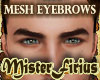 Mesh Eyebrows Brown