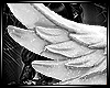 Wings Love