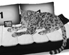 ! Leopard Sofa Dev