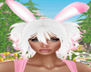 Diva Bunny White/Pink
