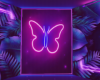 neon butterfly <3