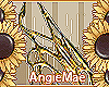 AM* Fiadh Wings