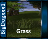 [BD] Grass