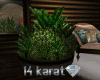 14k Indoor  Plant G