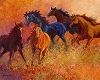 free-range--wild-horses