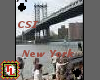 CSI New York card
