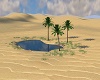 desert oasis