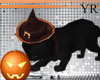 Halloween cat Anim